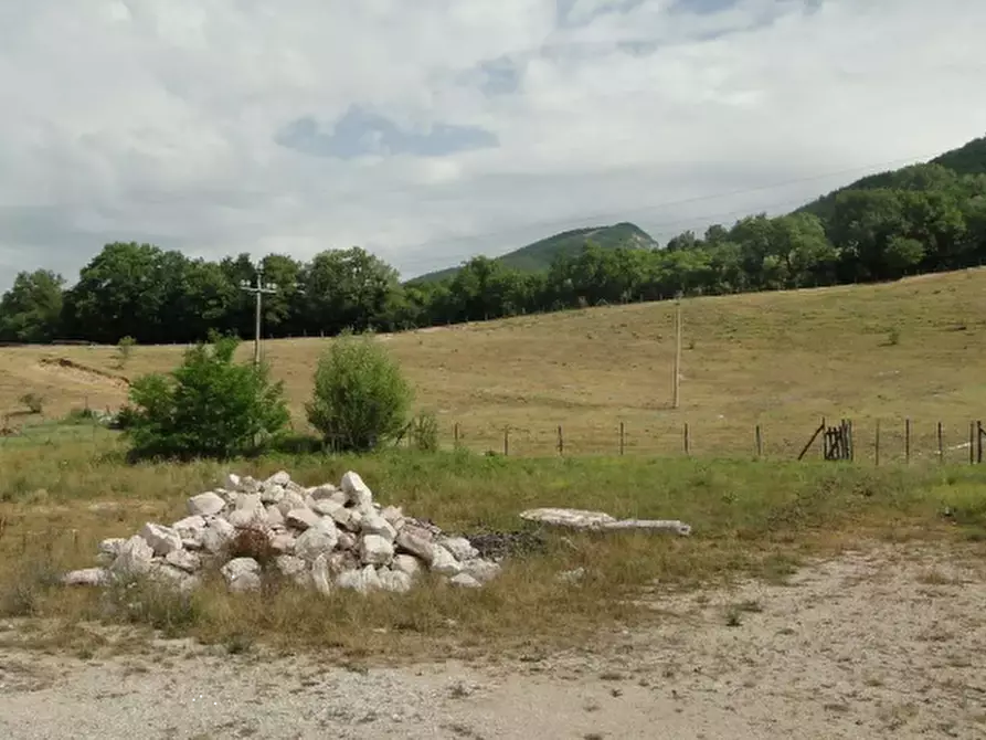Immagine 3 di Terreno agricolo in vendita  in Località Belvedere a Cantiano