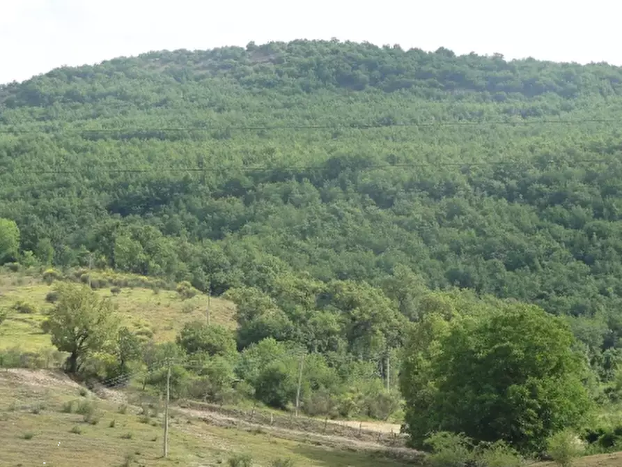 Immagine 4 di Terreno agricolo in vendita  in Località Belvedere a Cantiano