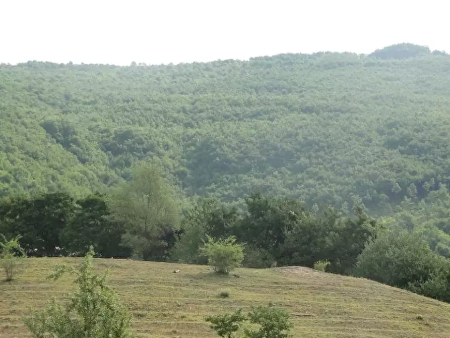 Immagine 5 di Terreno agricolo in vendita  in Località Belvedere a Cantiano