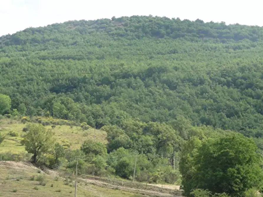 Immagine 6 di Terreno agricolo in vendita  in Località Belvedere a Cantiano