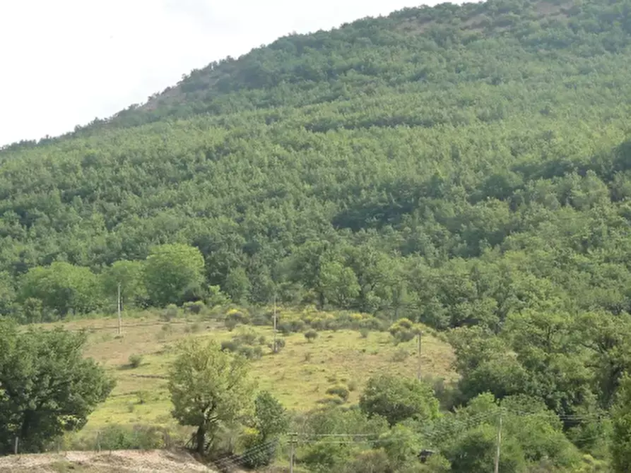 Immagine 7 di Terreno agricolo in vendita  in Località Belvedere a Cantiano