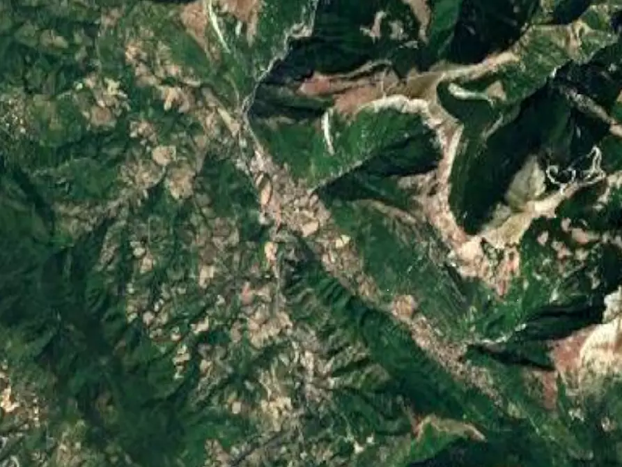 Immagine 9 di Terreno agricolo in vendita  in Località Belvedere a Cantiano