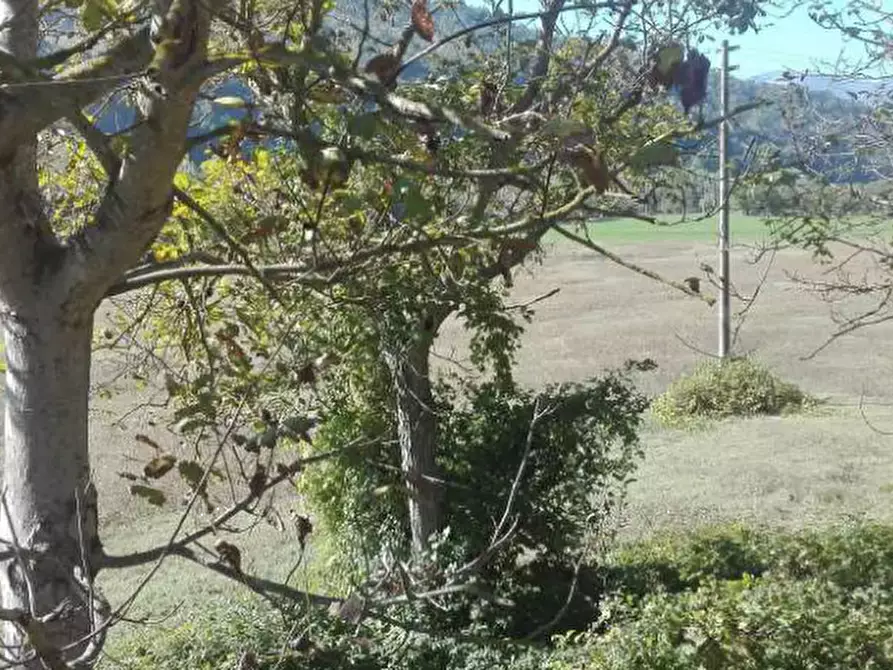 Immagine 2 di Terreno agricolo in vendita  in Localita' Petriccio a Acqualagna