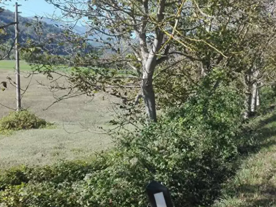 Immagine 1 di Terreno agricolo in vendita  in Localita' Petriccio a Acqualagna