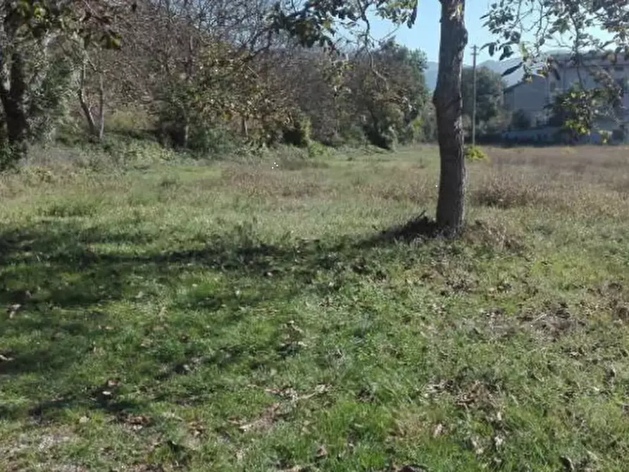 Immagine 3 di Terreno agricolo in vendita  in Localita' Petriccio a Acqualagna
