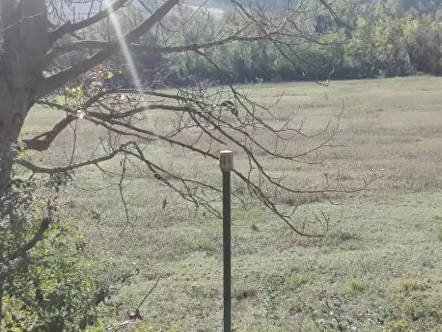 Immagine 4 di Terreno agricolo in vendita  in Localita' Petriccio a Acqualagna