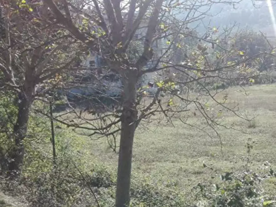Immagine 5 di Terreno agricolo in vendita  in Localita' Petriccio a Acqualagna