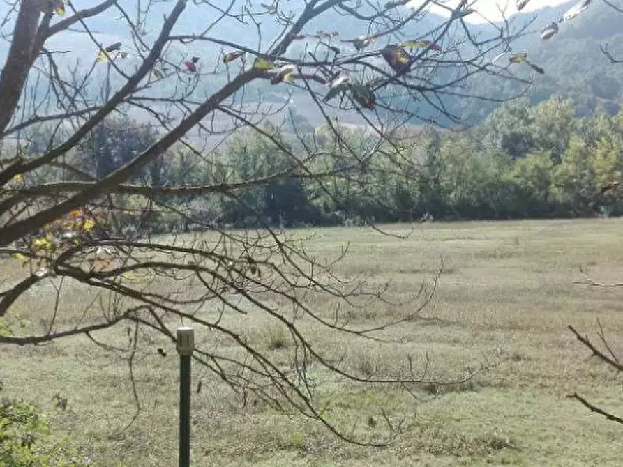Immagine 6 di Terreno agricolo in vendita  in Localita' Petriccio a Acqualagna