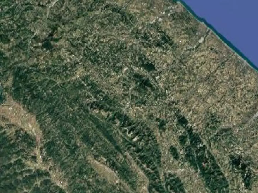 Immagine 7 di Terreno agricolo in vendita  in Localita' Petriccio a Acqualagna