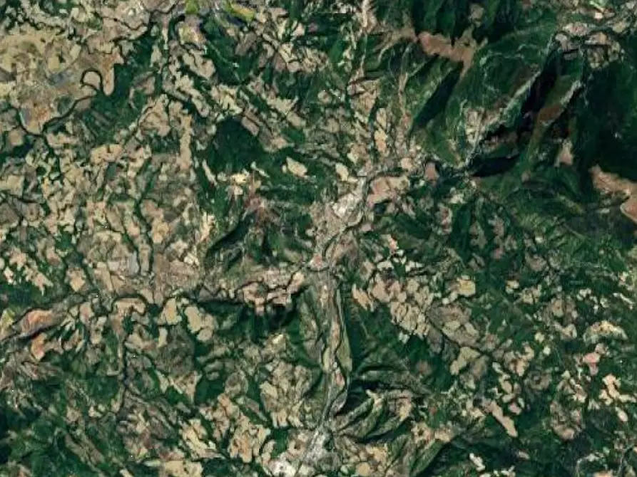 Immagine 8 di Terreno agricolo in vendita  in Localita' Petriccio a Acqualagna