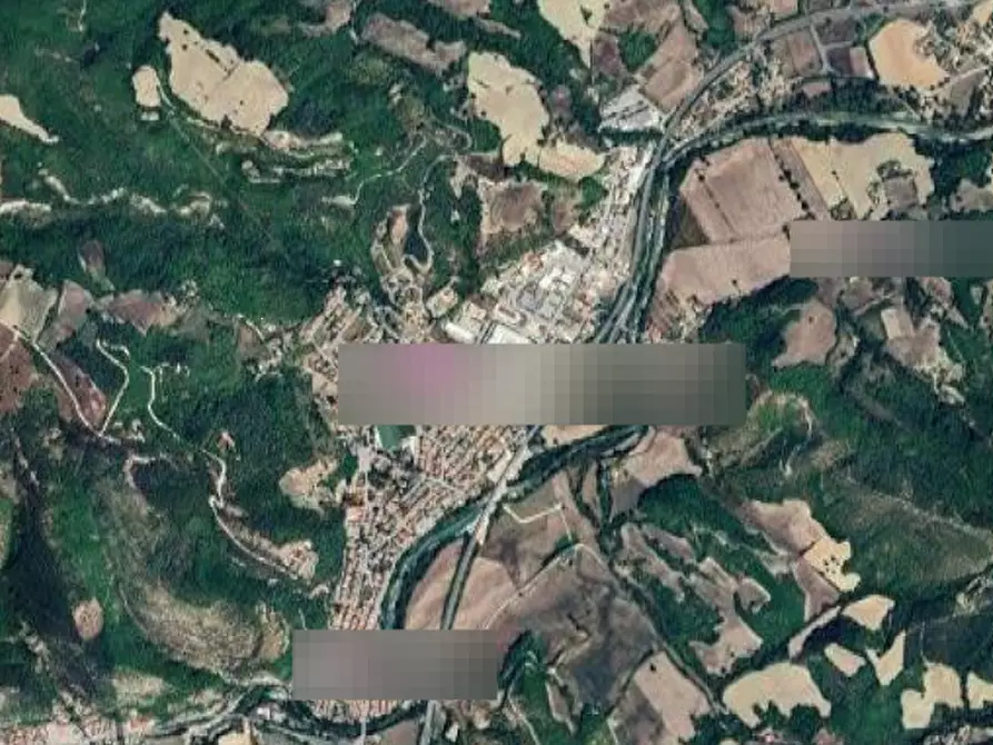 Immagine 9 di Terreno agricolo in vendita  in Localita' Petriccio a Acqualagna