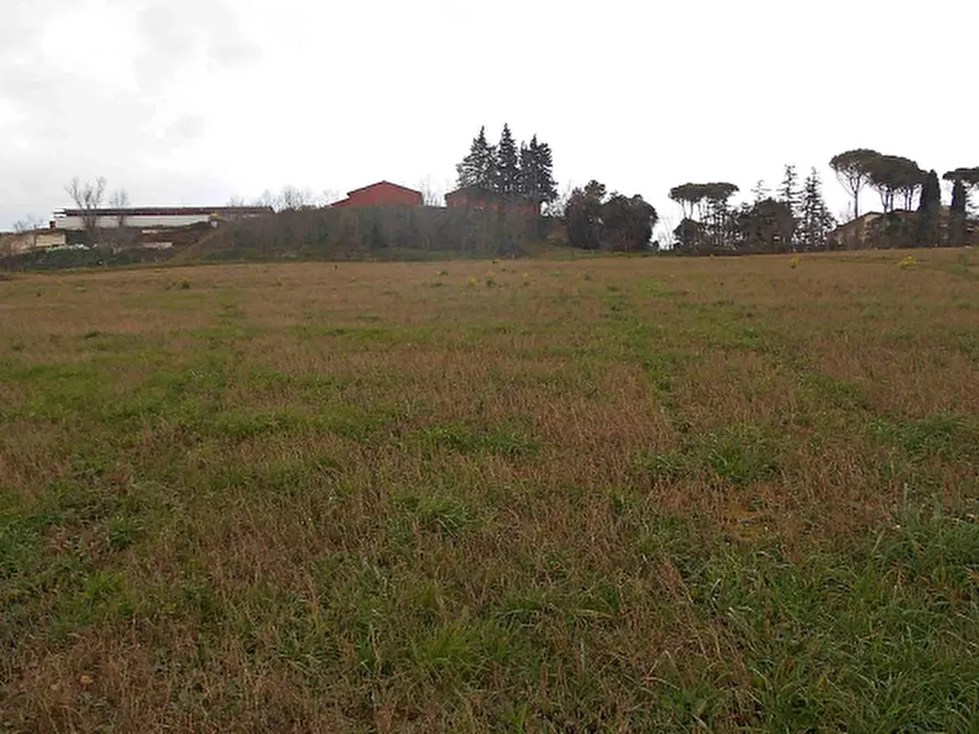 Immagine 2 di Terreno agricolo in vendita  in Via Seriole a Montecalvo In Foglia