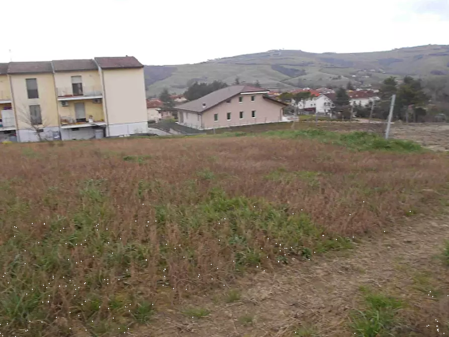 Immagine 3 di Terreno agricolo in vendita  in Via Seriole a Montecalvo In Foglia