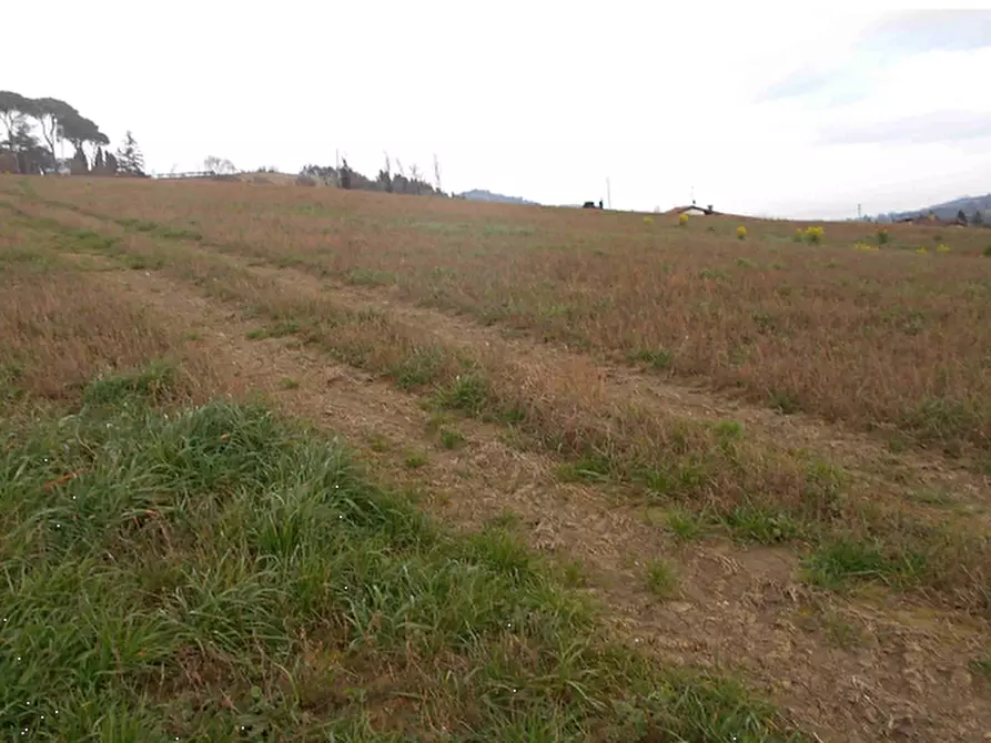 Immagine 5 di Terreno agricolo in vendita  in Via Seriole a Montecalvo In Foglia
