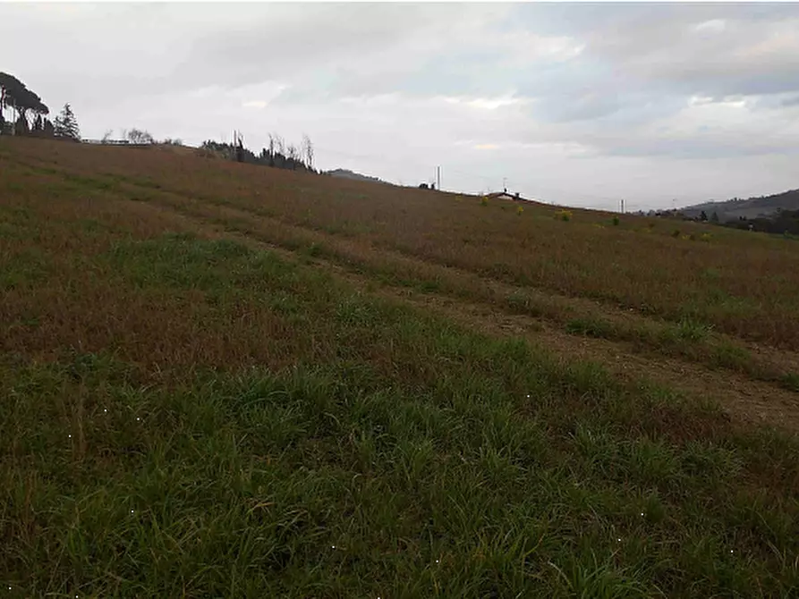 Immagine 6 di Terreno agricolo in vendita  in Via Seriole a Montecalvo In Foglia