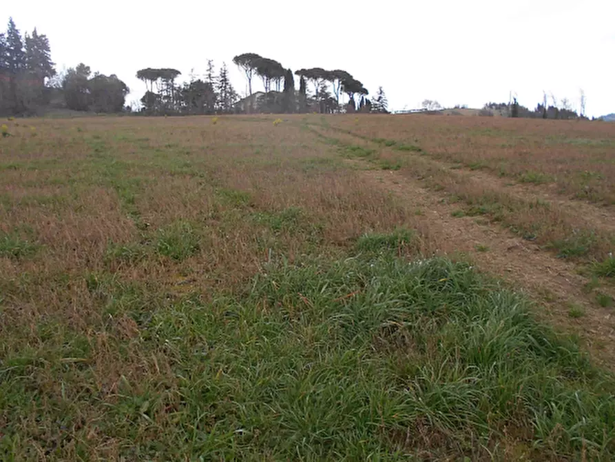 Immagine 7 di Terreno agricolo in vendita  in Via Seriole a Montecalvo In Foglia