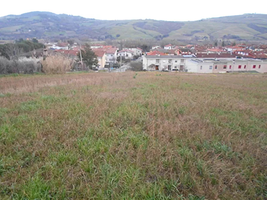 Immagine 9 di Terreno agricolo in vendita  in Via Seriole a Montecalvo In Foglia