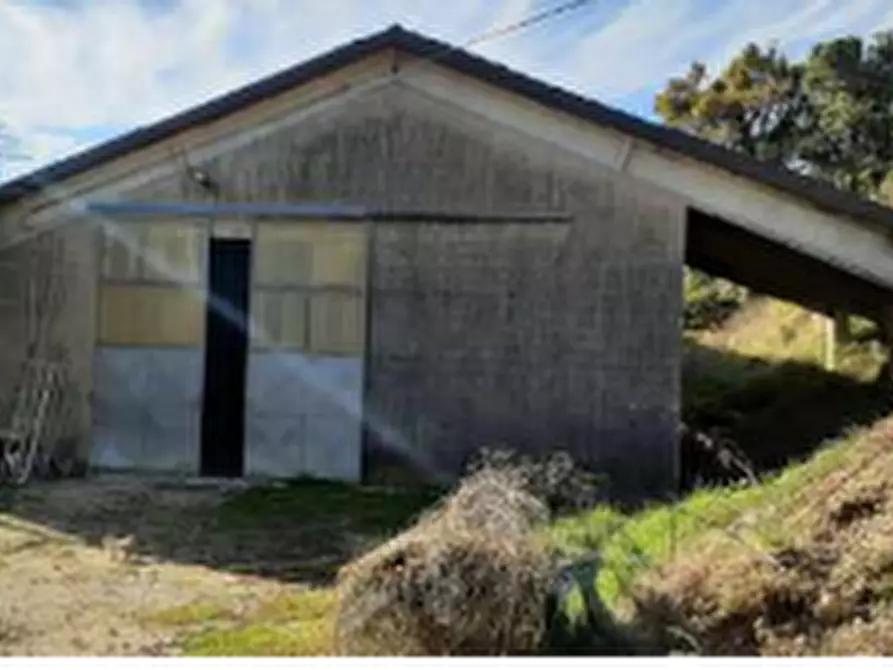 Immagine 8 di Rustico / casale in vendita  in Località Moie a Caprino Veronese