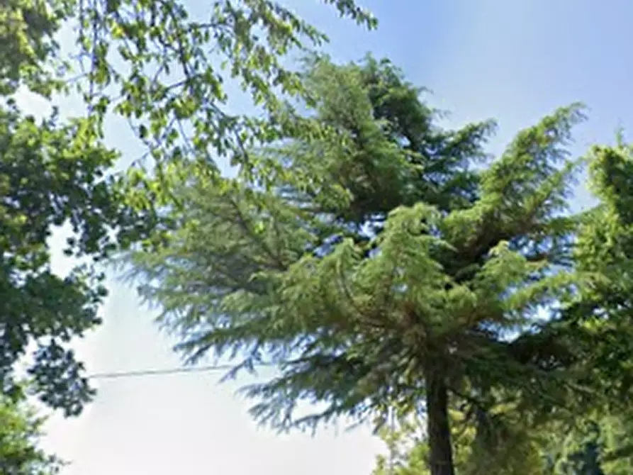 Immagine 4 di Terreno agricolo in vendita  in Località Moie a Caprino Veronese