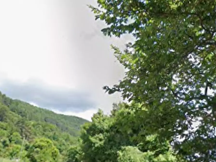 Immagine 5 di Terreno agricolo in vendita  in Località Moie a Caprino Veronese