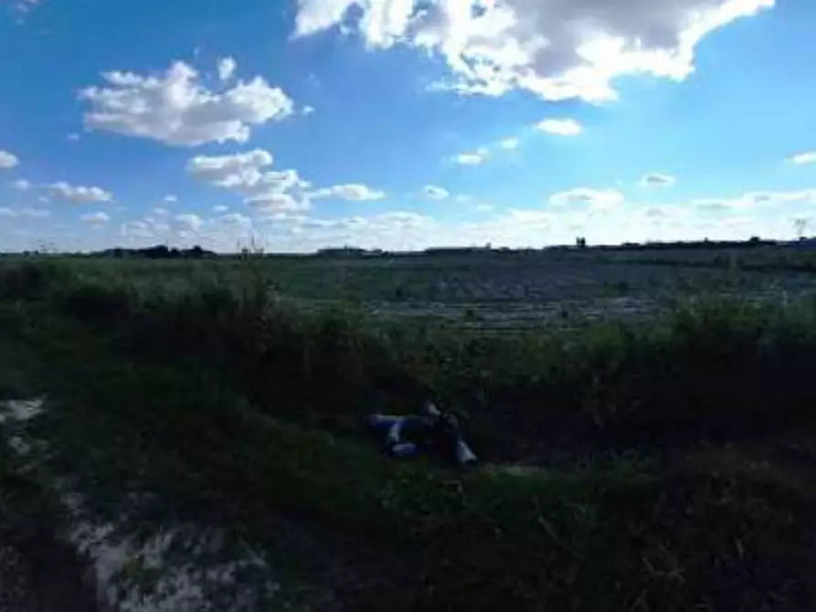 Immagine 2 di Terreno agricolo in vendita  in Via Rambosola a Roverchiara
