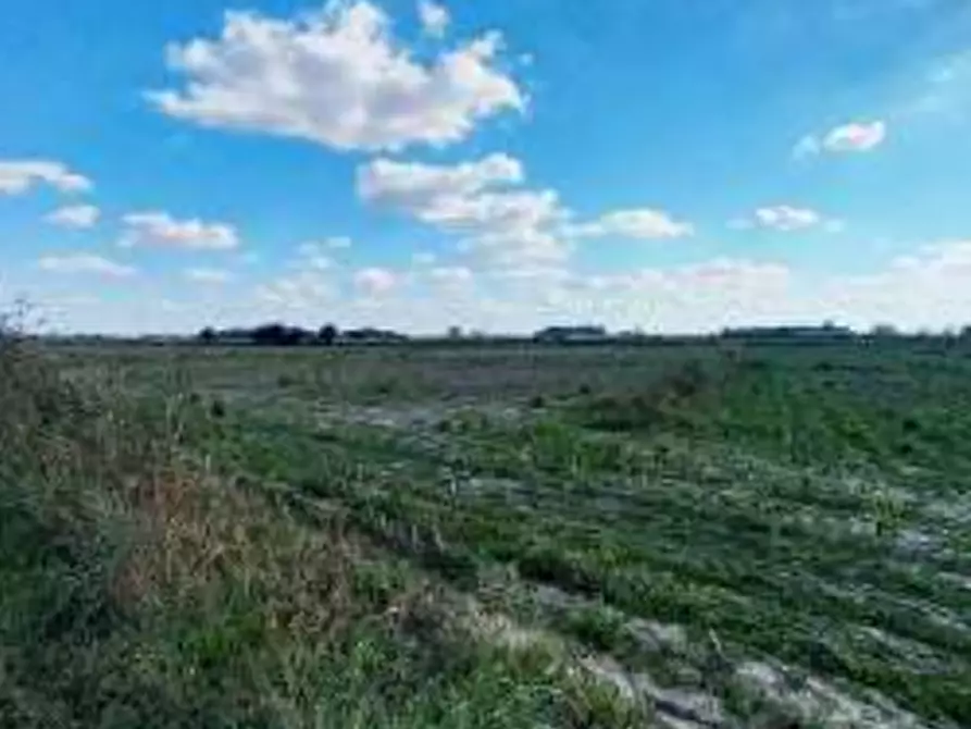 Immagine 1 di Terreno agricolo in vendita  in Via Rambosola a Roverchiara