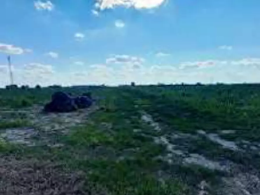 Immagine 3 di Terreno agricolo in vendita  in Via Rambosola a Roverchiara