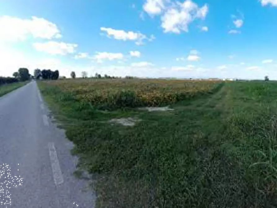 Immagine 4 di Terreno agricolo in vendita  in Via Rambosola a Roverchiara