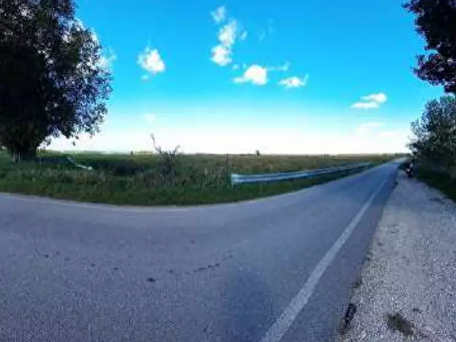 Immagine 5 di Terreno agricolo in vendita  in Via Rambosola a Roverchiara