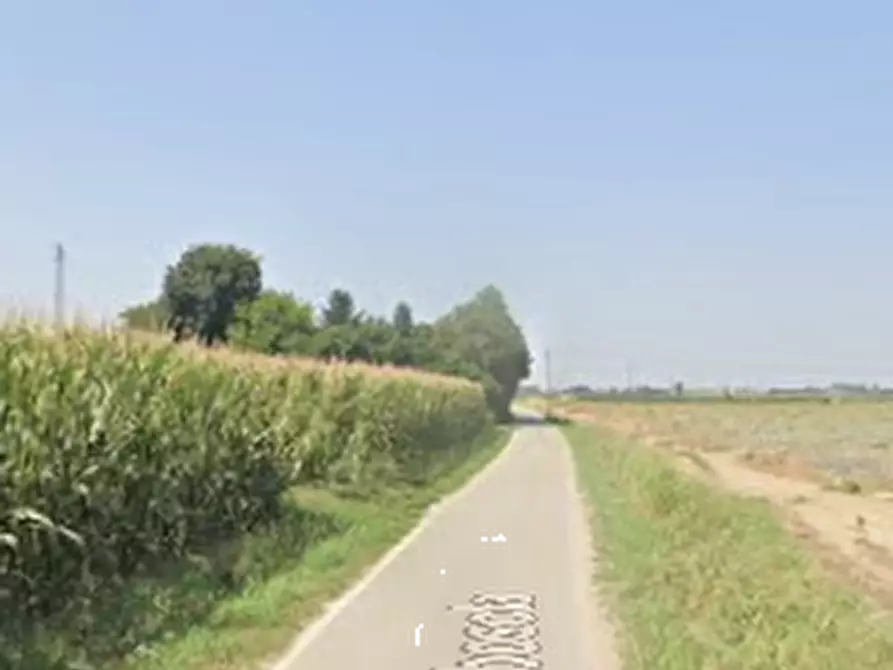 Immagine 7 di Terreno agricolo in vendita  in Via Rambosola a Roverchiara
