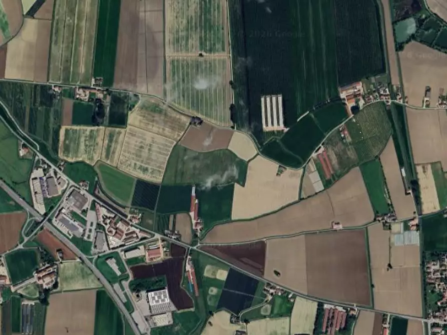 Immagine 9 di Terreno agricolo in vendita  in Via Rambosola a Roverchiara