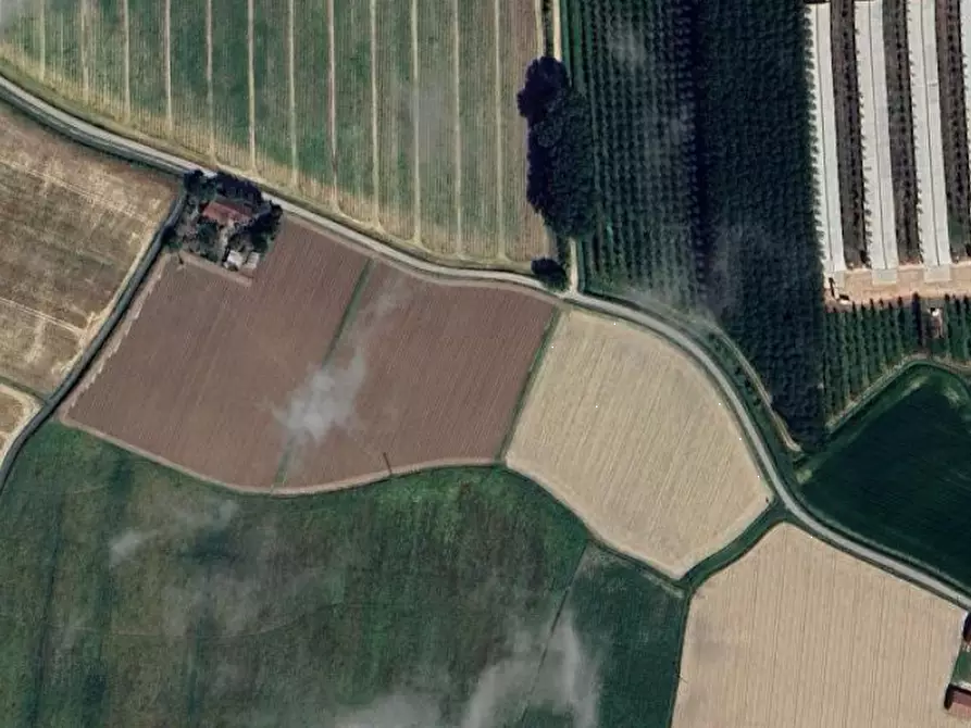Immagine 10 di Terreno agricolo in vendita  in Via Rambosola a Roverchiara