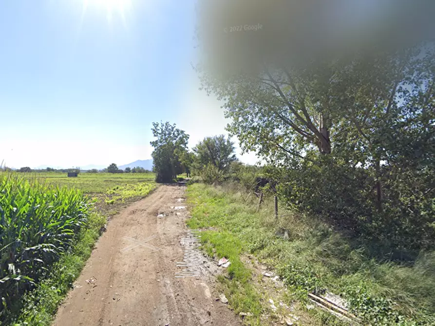 Immagine 9 di Terreno agricolo in vendita  in Via Masseria Chiusa a Caianello