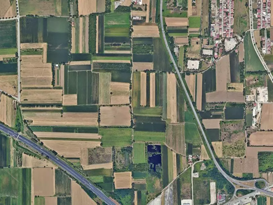 Immagine 16 di Terreno agricolo in vendita  in Via Masseria Chiusa a Caianello