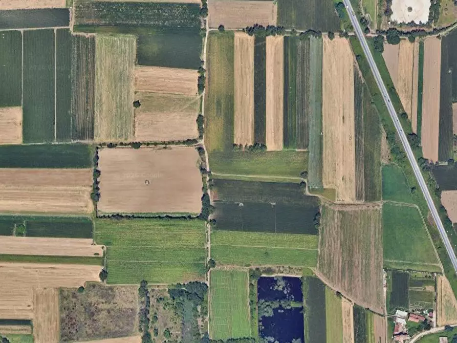 Immagine 17 di Terreno agricolo in vendita  in Via Masseria Chiusa a Caianello