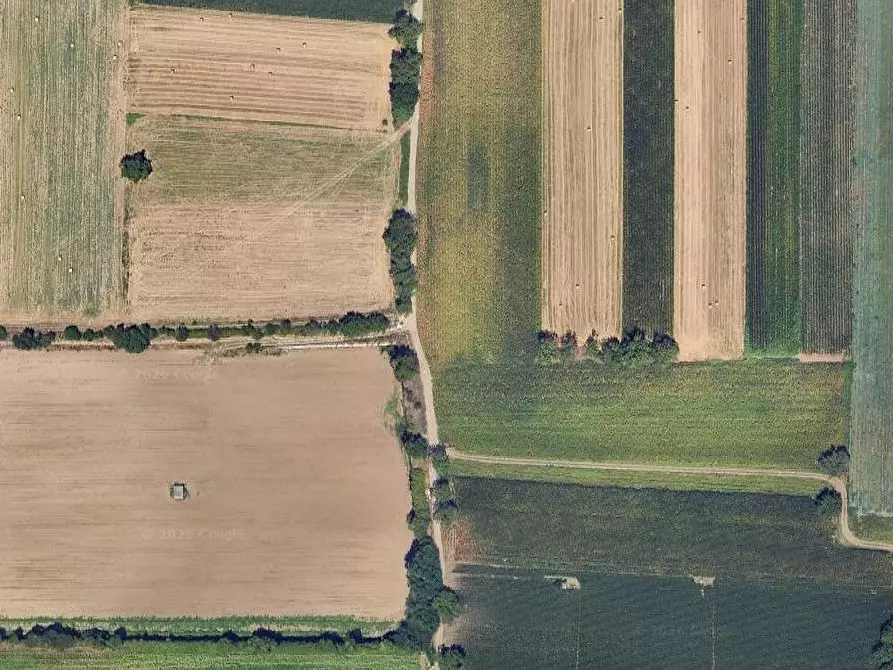 Immagine 18 di Terreno agricolo in vendita  in Via Masseria Chiusa a Caianello