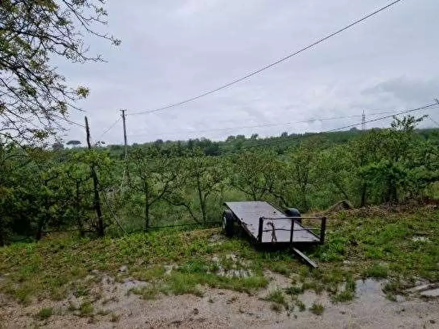 Immagine 1 di Terreno agricolo in vendita  in località La Consolara a Teano