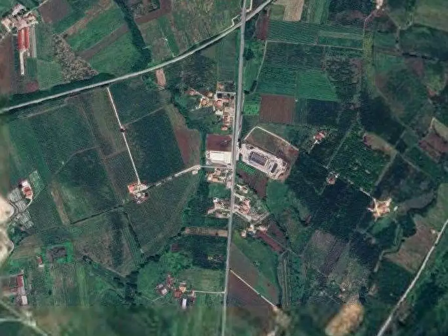 Immagine 2 di Terreno agricolo in vendita  in località La Consolara a Teano