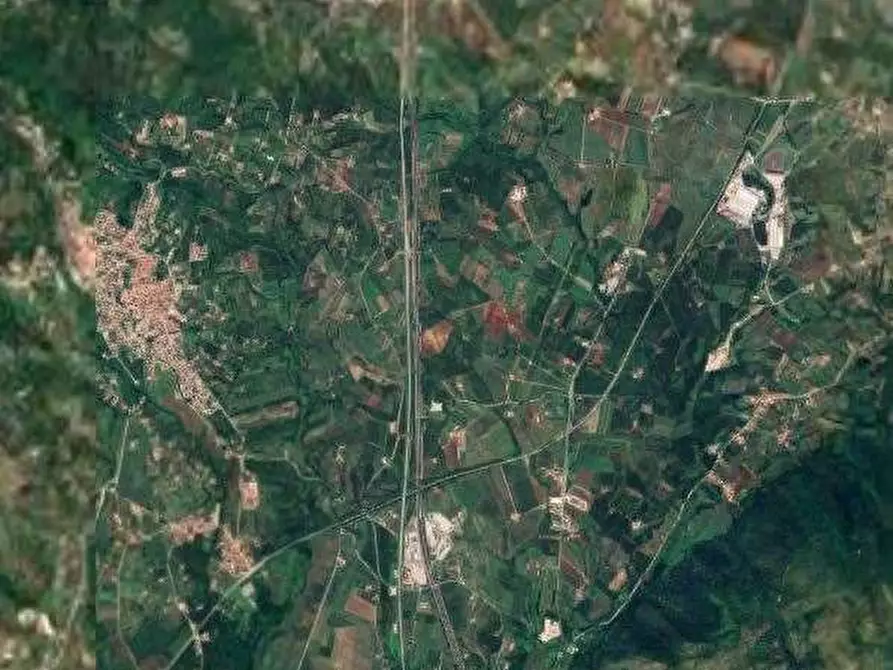 Immagine 3 di Terreno agricolo in vendita  in località La Consolara a Teano