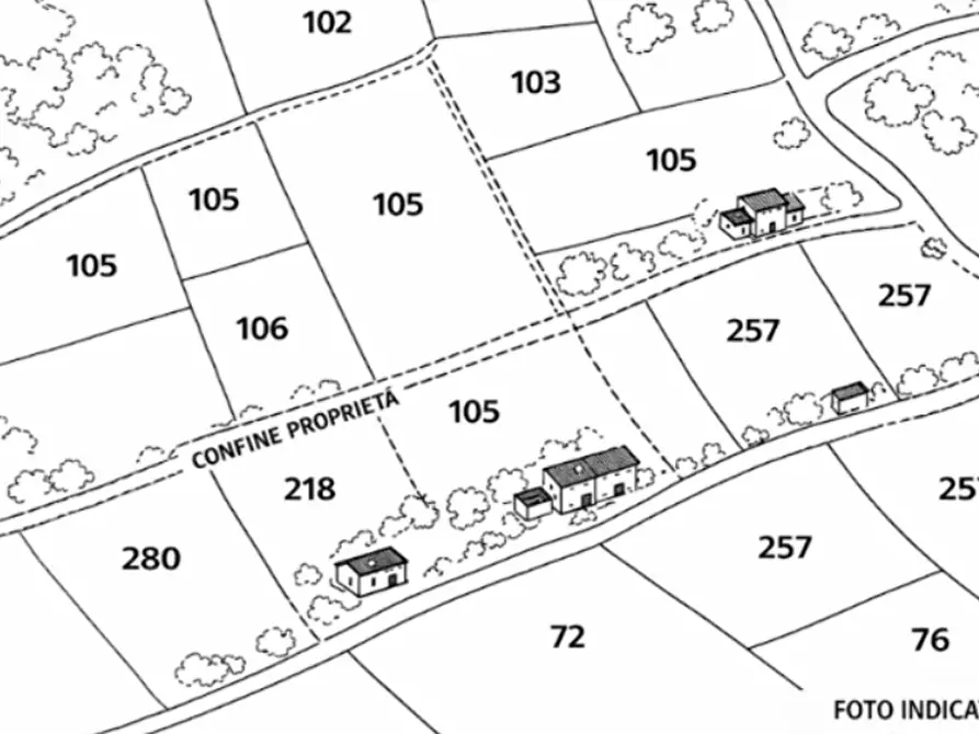 Immagine 11 di Terreno agricolo in vendita  in località La Consolara a Teano
