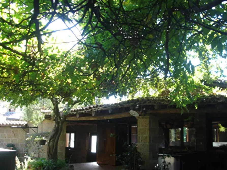 Immagine 2 di Azienda agricola in vendita  in Località Piantoli a Conca Della Campania