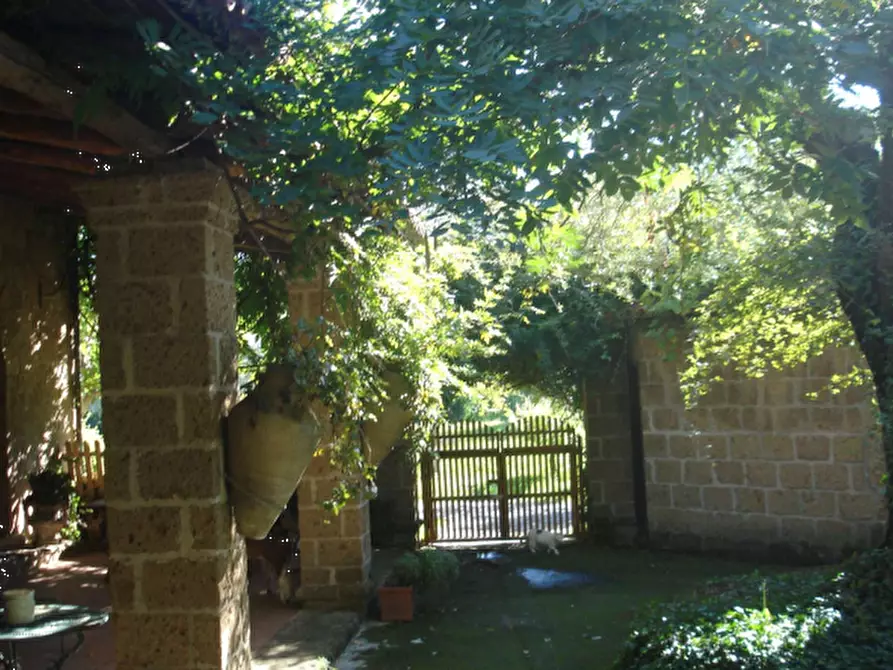 Immagine 4 di Azienda agricola in vendita  in Località Piantoli a Conca Della Campania
