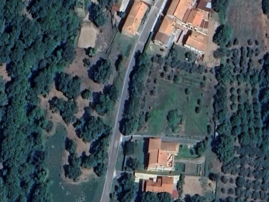 Immagine 5 di Azienda agricola in vendita  in Località Piantoli a Conca Della Campania