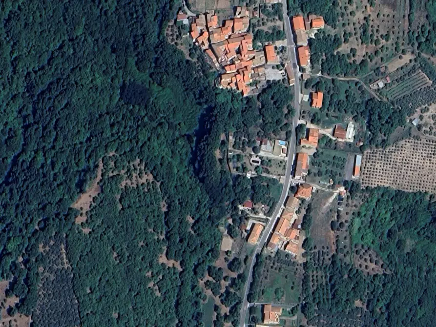 Immagine 6 di Azienda agricola in vendita  in Località Piantoli a Conca Della Campania