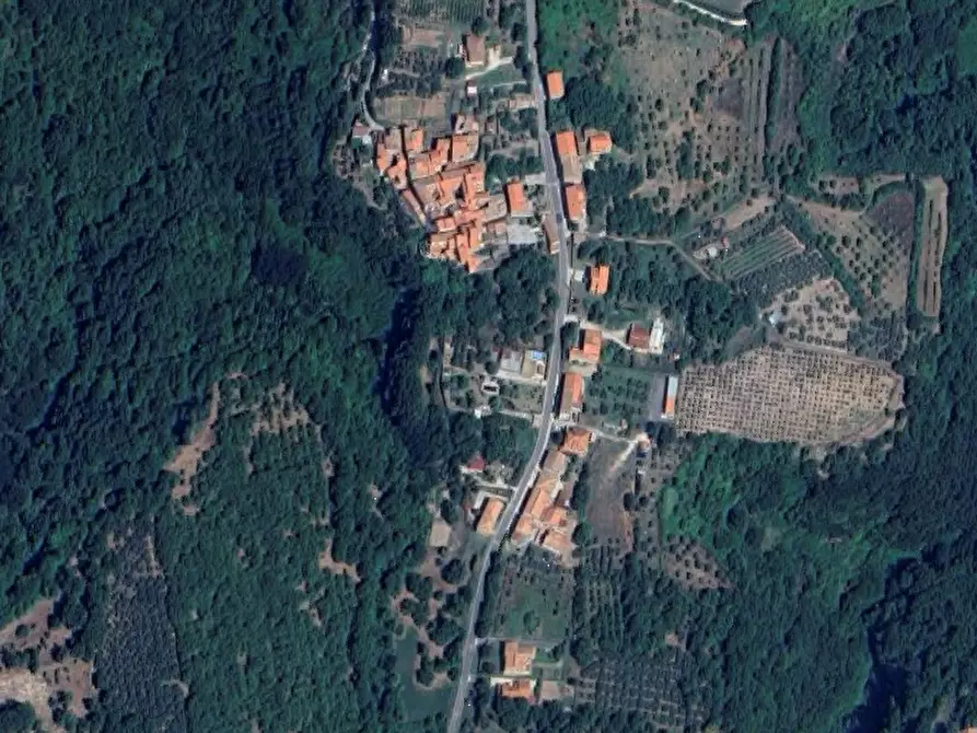 Immagine 7 di Azienda agricola in vendita  in Località Piantoli a Conca Della Campania