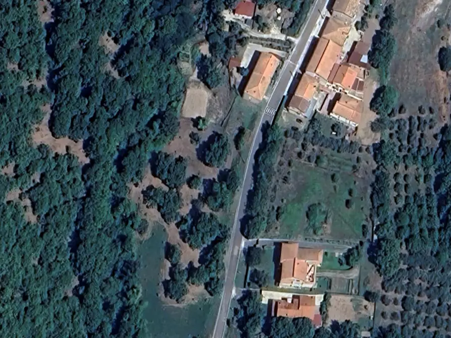 Immagine 8 di Azienda agricola in vendita  in Località Piantoli a Conca Della Campania