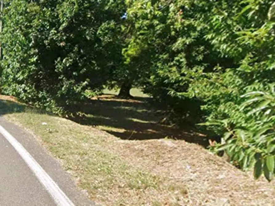 Immagine 9 di Azienda agricola in vendita  in Località Piantoli a Conca Della Campania