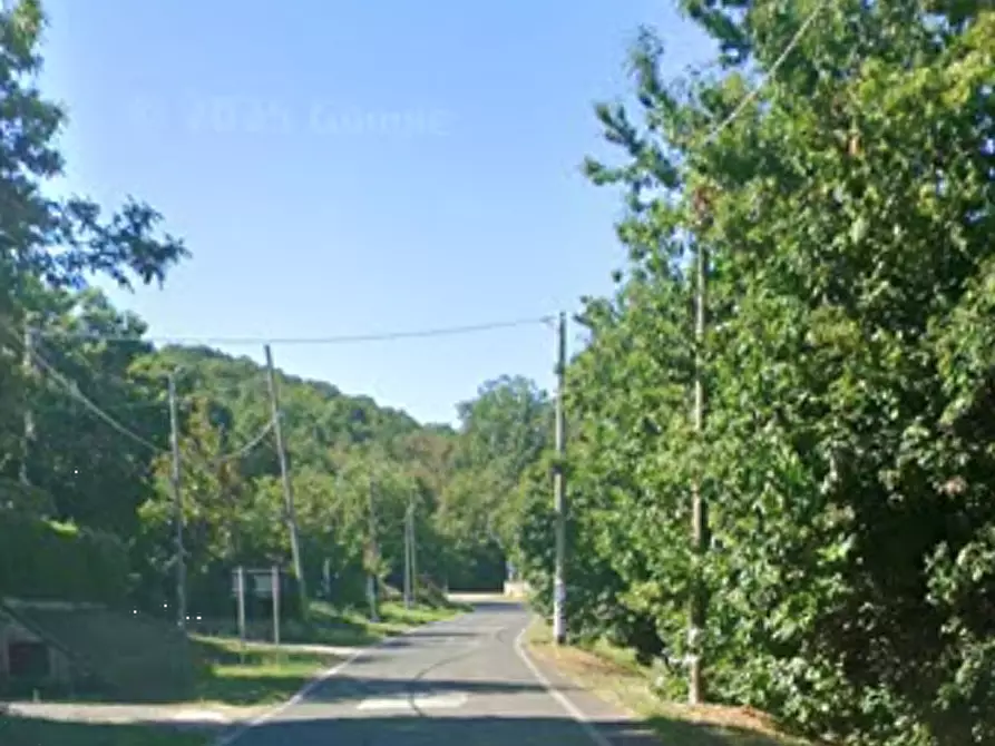 Immagine 10 di Azienda agricola in vendita  in Località Piantoli a Conca Della Campania