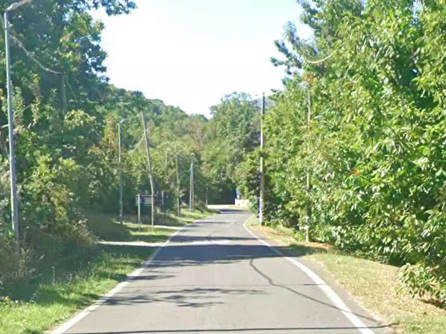 Immagine 11 di Azienda agricola in vendita  in Località Piantoli a Conca Della Campania