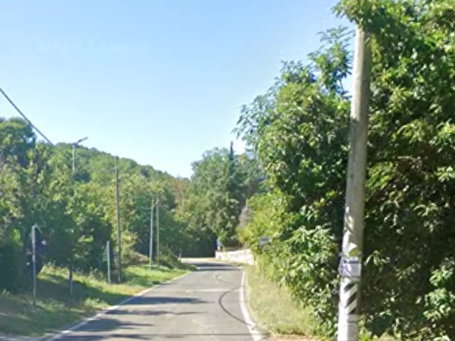 Immagine 13 di Azienda agricola in vendita  in Località Piantoli a Conca Della Campania